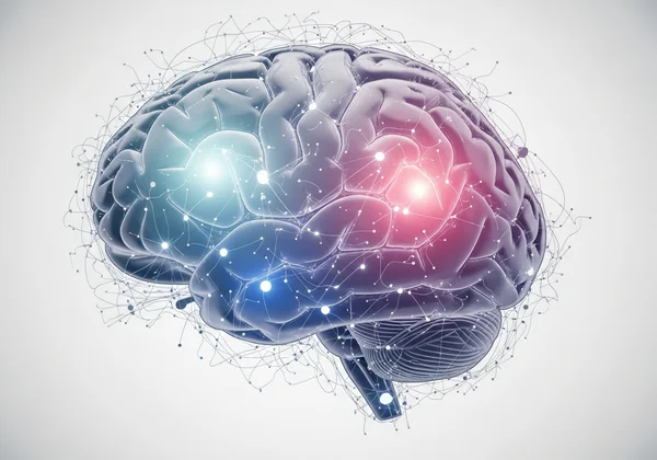 dark-triad-neuroscience-brain-patterns-behavior-links